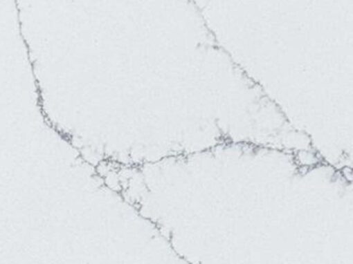 Featured 07 Alaska Bianca Close Up Terra Collection Meta Quartz Countertops