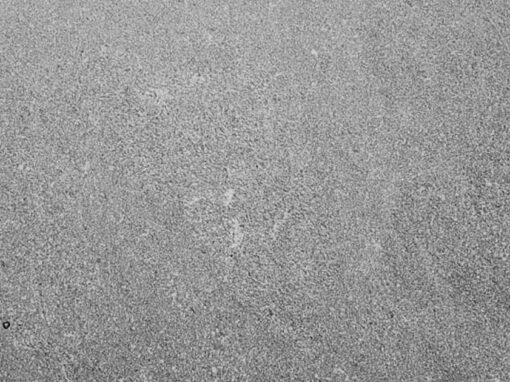 feat black mist granite 3cm meta surfaces houston