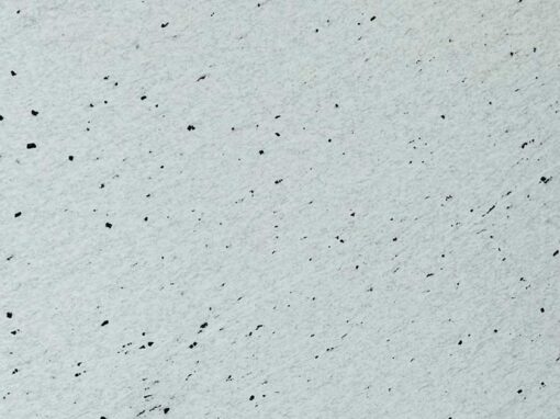 feat pitaya polished quartzite 3cm meta surfaces houston